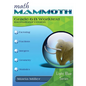 Math Mammoth Grade 6-B Worktext, International Version - Paperback