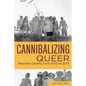 Cannibalizing Queer: Brazilian Cinema from 1970 to 2015 - Paperback