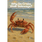 Why Do Crabs Walk Sideways? And Other Bilingual Spanish-English Stories for Kids - Paperback