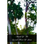 Month Of The Sacred Heart Of Jesus - Paperback