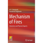 Mechanism of Fires: Chemistry and Physical Aspects - Hardcover