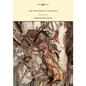 The Pied Piper of Hamelin - Illustrated by Arthur Rackham - Hardcover
