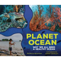 Planet Ocean: Why We All Need a Healthy Ocean - Library Binding