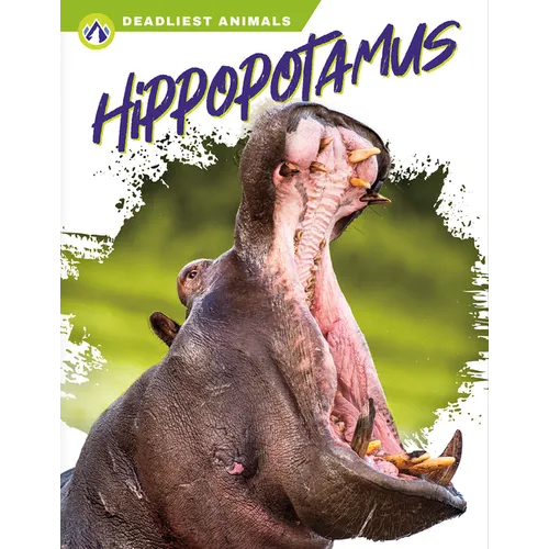 Hippopotamus - Paperback