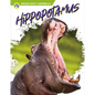 Hippopotamus - Paperback