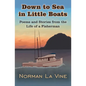 Down to Sea in Little Boats - Paperback