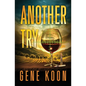 Another Try - Paperback