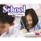 School in Many Cultures - Paperback