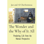 The Wonder and the Why of It All: Pondering Life from the Marian Perspective - Paperback