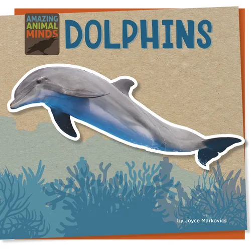 Dolphins - Library Binding