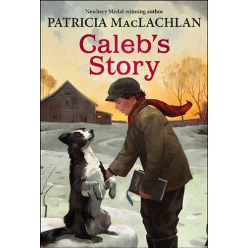 Caleb's Story - Hardcover