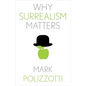 Why Surrealism Matters - Hardcover
