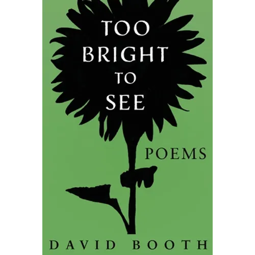Too Bright to See - Paperback
