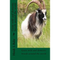 Goats wild and domestic breeds around the world.: Goat breeds - Paperback