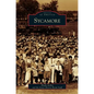 Sycamore - Hardcover