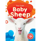 Baby Sheep - Library Binding