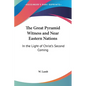 The Great Pyramid Witness and Near Eastern Nations: In the Light of Christ's Second Coming - Paperback