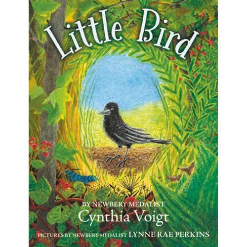 Little Bird - Hardcover