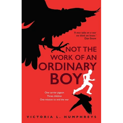 Not the Work of an Ordinary Boy - Paperback