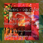 Flowers - Up Close: Photography through a Macro Lens - Paperback