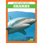 Sharks - Library Binding