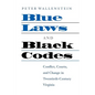 Blue Laws and Black Codes: Conflict, Courts, and Change in Twentieth-Century Virginia - Paperback