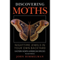 Discovering Moths: Nighttime Jewels in Your Own Backyard, Eastern North American Species - Paperback