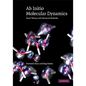 Ab Initio Molecular Dynamics: Basic Theory and Advanced Methods - Hardcover
