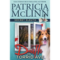 Death on Torrid Ave. (Secret Sleuth, Book 2) - Paperback
