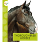 Thoroughbred Horses - Library Binding
