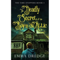 The Deadly Secret of the Boy in the Attic - Hardcover