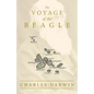 The Voyage of the Beagle - Paperback