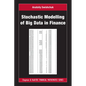 Stochastic Modelling of Big Data in Finance - Hardcover