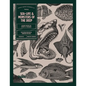 Sea-life & Monsters of the Deep - Paperback