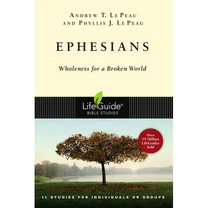 Ephesians: Wholeness for a Broken World - Paperback