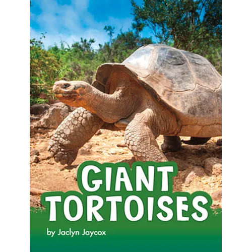 Giant Tortoises - Hardcover