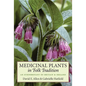 Medicinal Plants in Folk Tradition: An Ethnobotany of Britain & Ireland - Paperback