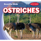 Ostriches - Library Binding