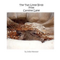 The Two Little Birds From Caroline Lane - Paperback