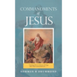Commandments of Jesus: "Teaching Them to Observe All Things That I Have Commanded You ..." - Hardcover