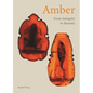 Amber: From Antiquity to Eternity - Hardcover