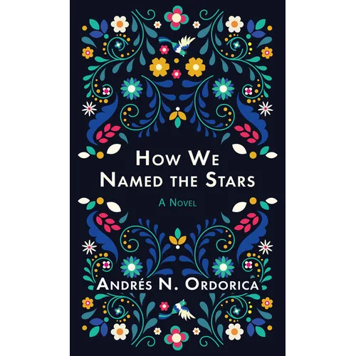 How We Named the Stars - Library Binding
