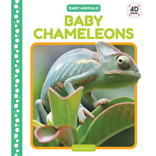 Baby Chameleons - Library Binding