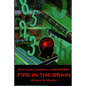 Ruptured Cerebral Aneurysm: Fire in the Brain - Paperback