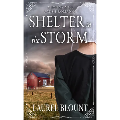Shelter in the Storm - Library Binding
