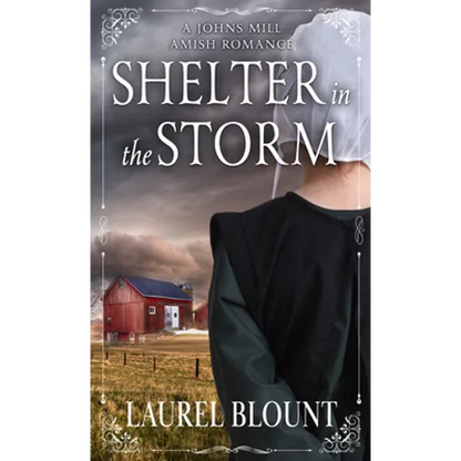Shelter in the Storm - Library Binding