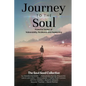 Journey to the Soul: Powerful Stories of Vulnerability, Resilience and Awakening - Paperback