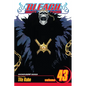 Bleach, Vol. 43 - Paperback