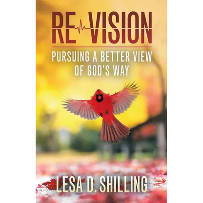 Re-Vision: Pursuing a Better View of God's Way - Paperback