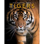 Tigers: Amazing Pictures & Fun Facts on Animals in Nature - Paperback
